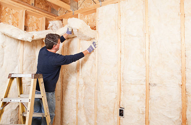 Best Wall Insulation Installation  in Gladewater, TX