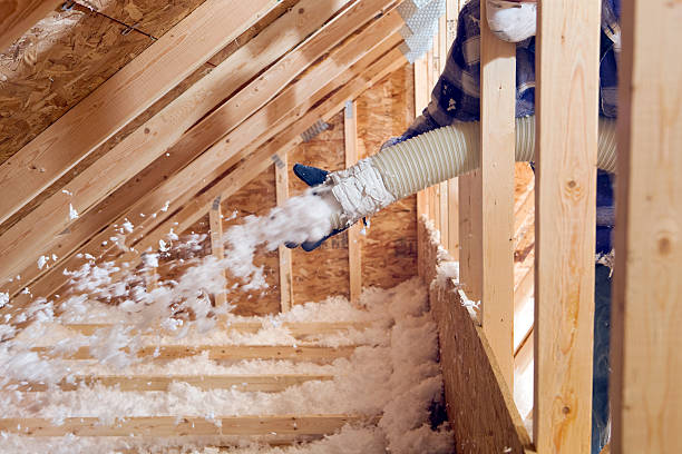 Best Eco-Friendly Insulation Solutions  in Gladewater, TX